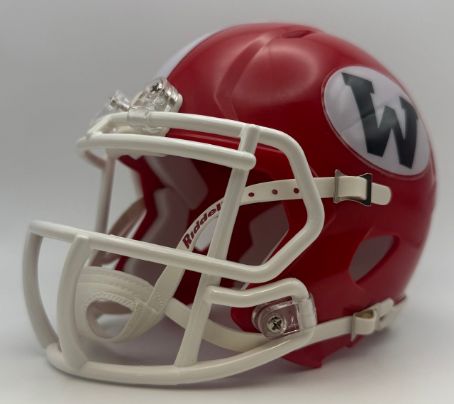 Waycross Bulldogs High School AAA Georgia State Champs 1981